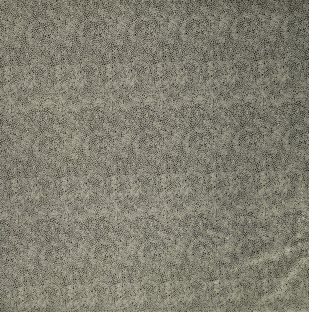 SF F-196-006