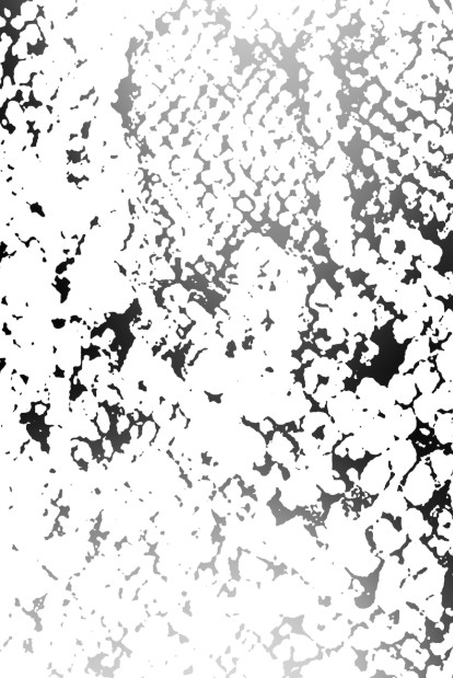 3650